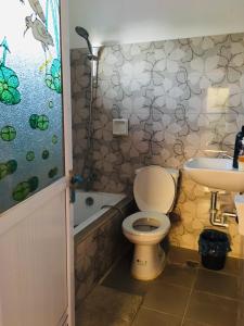 La salle de bains est pourvue de toilettes et d'un lavabo. dans l'établissement Sephreen Home stay, à San Juan