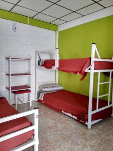 a room with two bunk beds and a green wall at Hostel Richieri in Neuquén