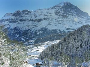 グリンデルワルトにあるApartment Chalet Auf dem Vogelstein-1 by Interhomeの雪山