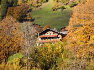 グリンデルワルトにあるApartment Chalet Auf dem Vogelstein-2 by Interhomeの木立の丘の脇の家