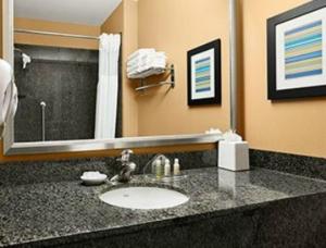 a bathroom with a sink and a mirror at Holiday Inn Scottsdale North- Airpark, an IHG Hotel in Scottsdale