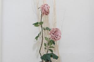 Imagen de la galería de J&K, en Riomaggiore