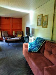 uma sala de estar com um sofá com um cobertor em Residência Gato Branco em Imbituba