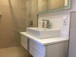 a bathroom with a white sink and a shower at Christmann's Cottage in Weisenheim am Berg