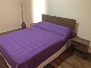 Een bed of bedden in een kamer bij Hostal Ansaldi