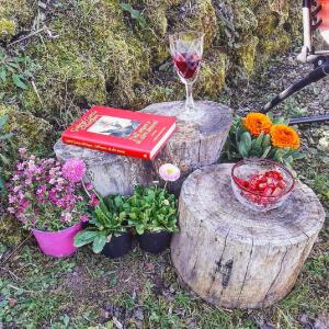 Pijača v nastanitvi Podere La Vigna Locazione Turistica