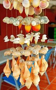 a bunch of seashells are hanging on a rack at Hostal Augustos in San Juan del Sur
