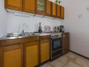Kuchyňa alebo kuchynka v ubytovaní Apartment Slavka