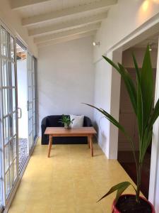 - un salon avec un canapé et une table dans l'établissement Casa Modi, à Puerto Viejo
