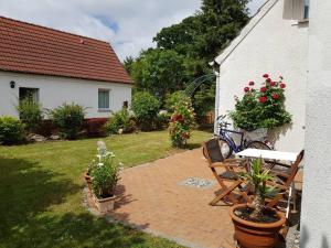 Zahrada ubytování Hering FeWo I Apartment Terrace
