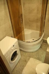 La salle de bains est pourvue d'une douche et d'un lave-linge. dans l'établissement ALIBI Apartament Boleslawiec, à Bolesławiec