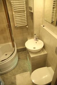 a bathroom with a sink and a toilet and a shower at ALIBI Apartament Boleslawiec in Bolesławiec