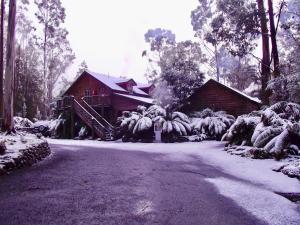 Lemonthyme Wilderness Retreat om vinteren