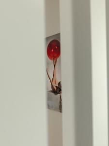 un palloncino rosso seduto su uno scaffale in una stanza di Scale Suites ad Atene