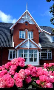 Une bande de roses roses roses devant une maison dans l'établissement Gasthaus Knudsen, à Utersum