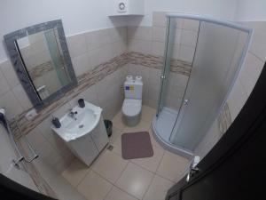 uma casa de banho com um chuveiro, um WC e um lavatório. em Cochet Accommodation em Piatra Neamţ