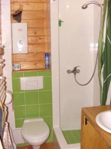 Koupelna v ubytování Chalet Truten
