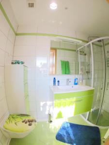 a bathroom with a shower and a toilet and a sink at Ferienwohnung Simone in Senftenberg