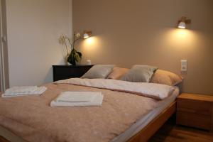 Postel nebo postele na pokoji v ubytování Apartament Zielone Tarasy
