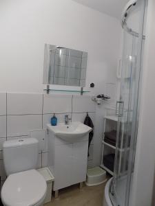 W łazience znajduje się toaleta, umywalka i prysznic. w obiekcie Przy Zamku U Przewodników w mieście Malbork