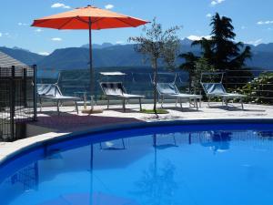 a swimming pool with chairs and an umbrella at Zum Schwarzen Kus in Caldaro
