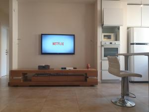 A television and/or entertainment center at Comfortable Apartment