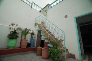 エッサウィラにあるホワイト アンド ブルーの鉢植えの階段