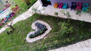 Zahrada ubytování New Live B&B