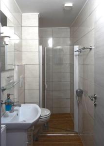 a bathroom with a shower and a sink and a toilet at Hotel Zum Böhmegrund in Bad Fallingbostel