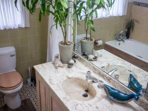 ein Badezimmer mit einem Waschbecken mit zwei Topfpflanzen darauf in der Unterkunft Africa's Eden Guesthouse in Pietermaritzburg + 38 Fotos