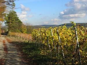Paesaggio naturale nelle vicinanze dell'affittacamere