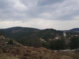Pokrajina v okolici lovske koče