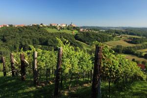 Paesaggio naturale nelle vicinanze dell'hotel