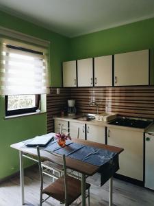 a kitchen with green walls and a table with chairs at Apartments Grahovac in Umag