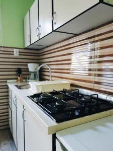 a kitchen with a stove and a sink at Apartments Grahovac in Umag