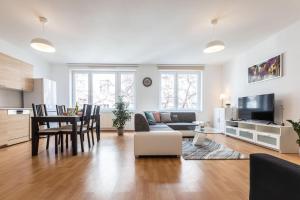 TV a/nebo společenská místnost v ubytování Spacious Apartment in the Old Town of Bratislava
