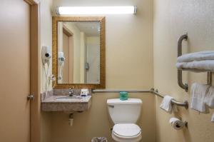a bathroom with a toilet and a sink and a mirror at Red Carpet Inn Newark - Irvington NJ in Irvington