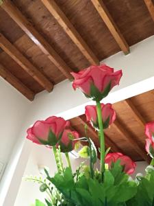 Gallery image of Casa Vacanze Zia Concetta in Nardò +23 photos