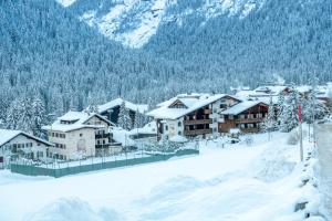 Fotografie z fotogalerie ubytování Hotel Alpe v destinaci Canazei