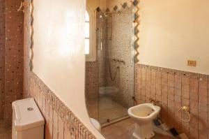 a bathroom with a toilet and a shower and a sink at CH Apartments Boutique in Seville