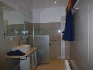 łazienka z umywalką i prysznicem w obiekcie Appartment Cerny w mieście Eisenstadt +12 zdjęć