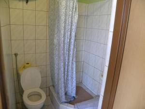 a bathroom with a toilet and a shower curtain at Stajnia Grazyny Mikorowo 46 in Czarna Dąbrówka