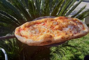 a large cheese pizza sitting on top of a tree at Il Profumo di Capri in Massa Lubrense