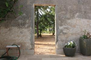 eine offene Tür in einer Steinmauer mit zwei Topfpflanzen in der Unterkunft Il Boschetto in San Vito dei Normanni