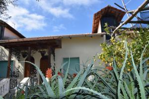 une maison avec des plantes devant dans l'établissement De Gregorio, à Massa Lubrense 21 autres photos