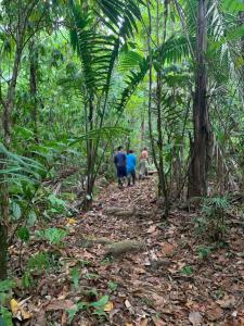 a group of people walking down a trail in the jungle at Paraisoverde-Corcovado Over Night in Drake