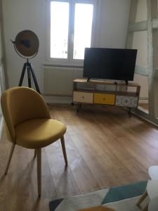 - un salon avec une chaise et une télévision dans l'établissement Les Appartements de Home Petite Venise, à Colmar