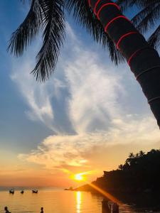 タオ島にあるボウ　トン　ビーチ　リゾートのヤシの木が植えられた浜辺の夕日