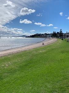 a beach with green grass and people on it at Halfmoon Bay Apartment in Auckland