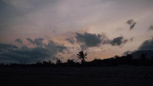 東河郷にあるデュラン ザ トラベル バグ ビストロ インの浜辺のヤシの木と曇り空